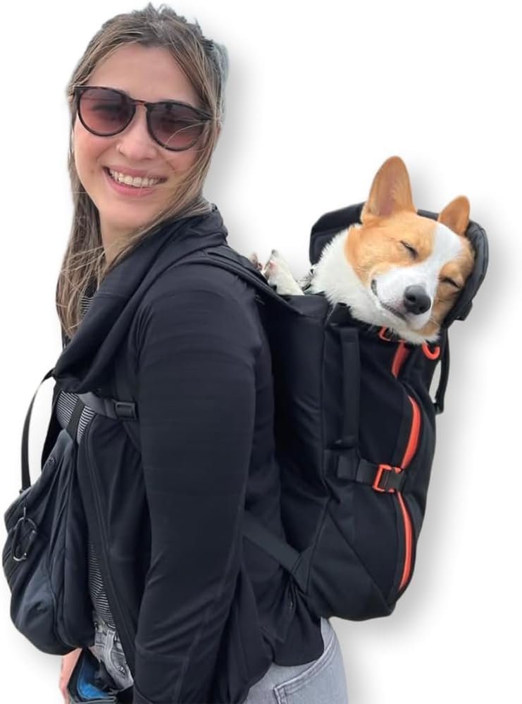 The Maxine One Medium Dog Carrier by Little Chonk | Dog Backpack Carrier for Medium Sized Breeds | Adjustable Front Facing Pet Carrier for Travel | Dog Hiking Backpack – Bark After Dark Black