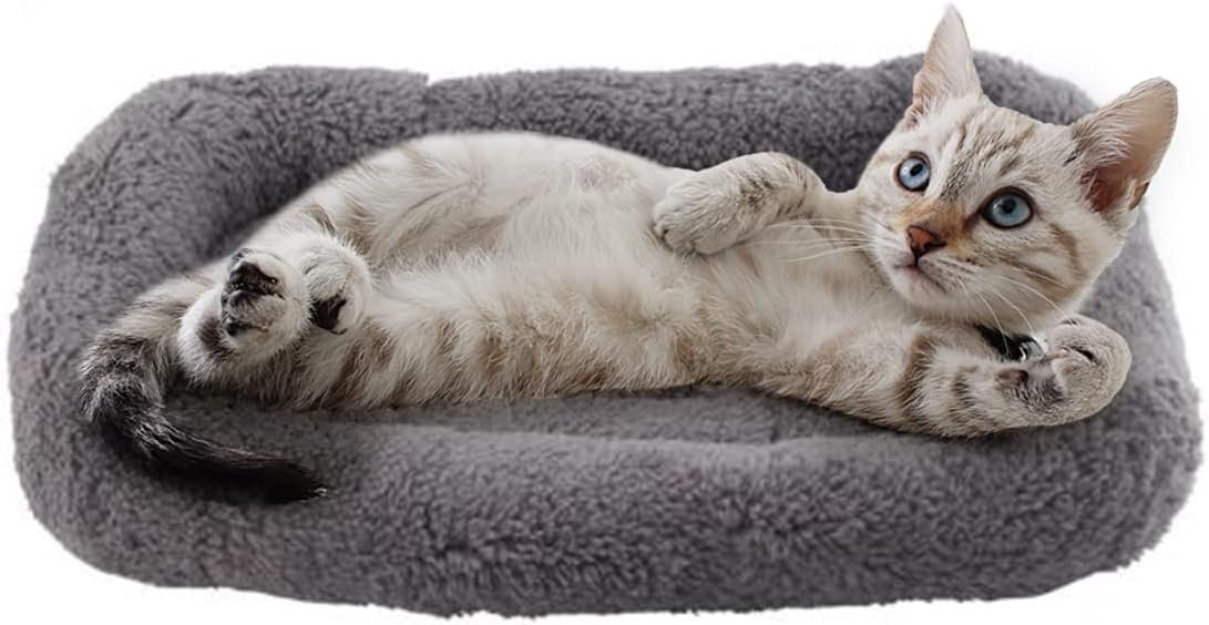PETLESO Small Cat Bed Mat Plush Pet Cushion, 15″ x 10″ Cat Pad with Pillow Around for Indoor Pets, Puppy Curl Sleep Self Warming Mat for Crate Carrier/Outdoor Pet Houses, Non-Slip Bottom, Small