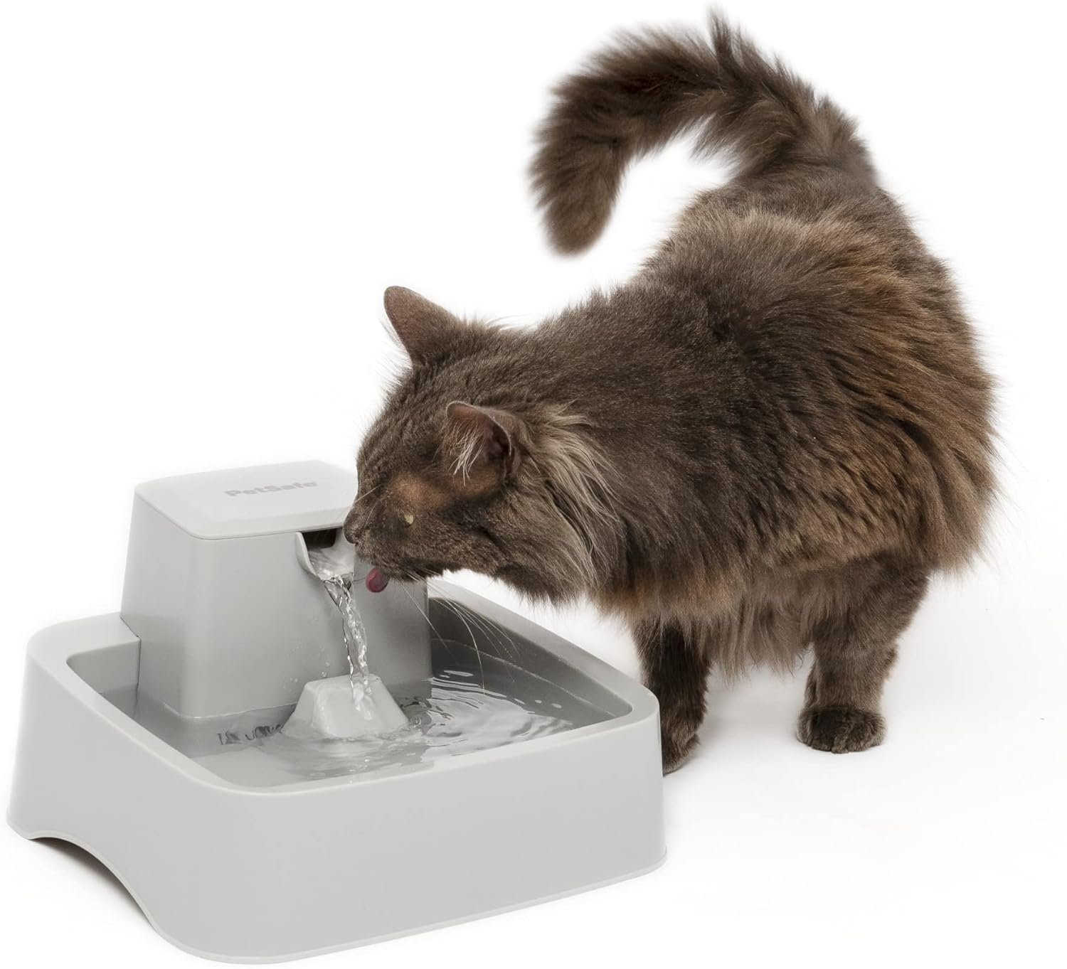 PetSafe Oasys 1/2 Gallon Pet Fountain – Cat & Dog Hydration Station with Free-Falling Water Stream & Customizable Flow – Encourages Hydration & Protects Sensitive Whiskers – 1/2 Gallon