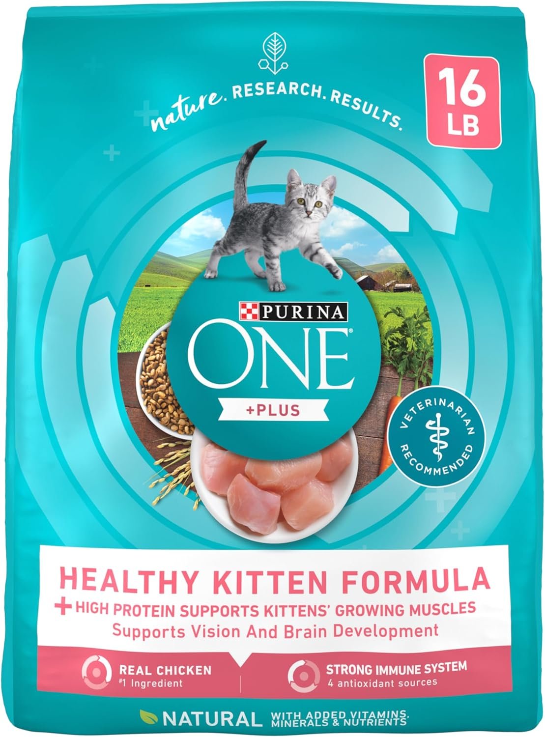 Purina ONE High Protein, Natural Dry Kitten Food, +Plus Healthy Kitten Formula – 16 lb. Bag
