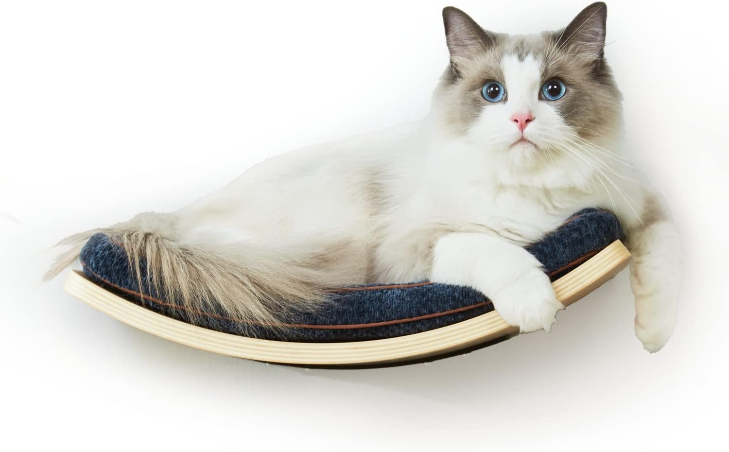 Cat Shelf with Comfortable Cushion – Curved Cat Shelves and Perches for Wall (Medium Size) – Wall Mounted Cats Furniture for Sleeping, Playing, Climbing, and Lounging